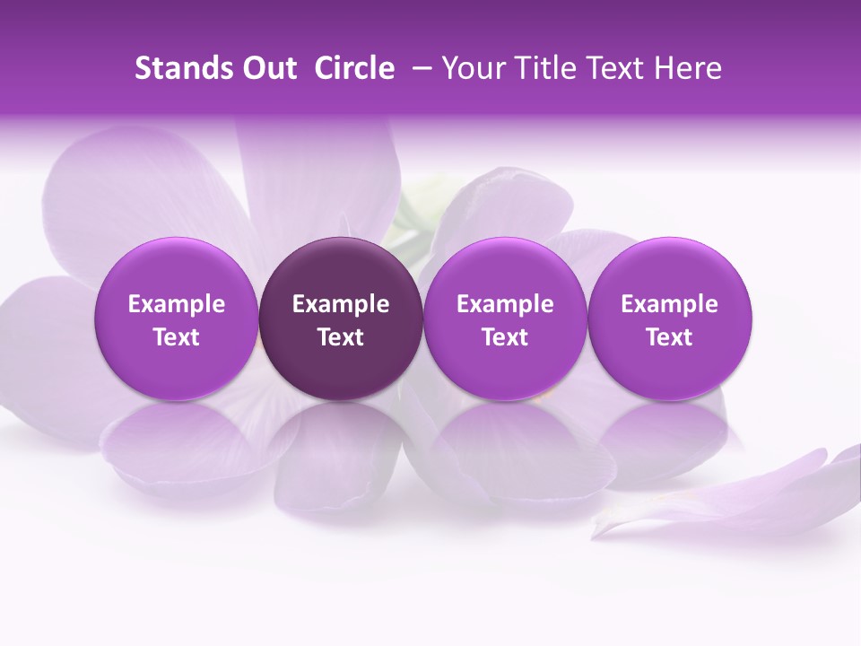 A Group Of Purple Flowers Sitting On Top Of A White Table PowerPoint Template