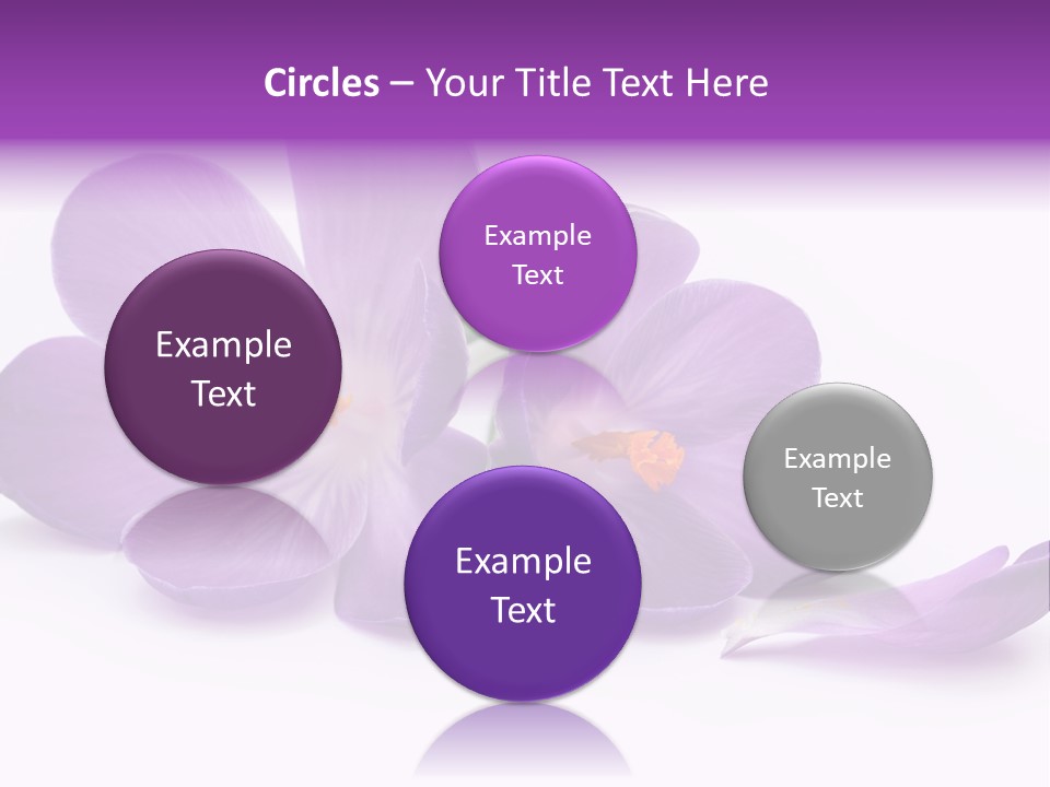 A Group Of Purple Flowers Sitting On Top Of A White Table PowerPoint Template
