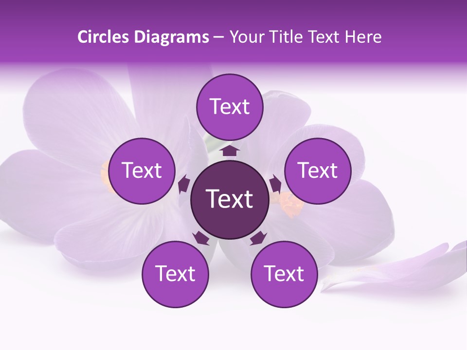 A Group Of Purple Flowers Sitting On Top Of A White Table PowerPoint Template