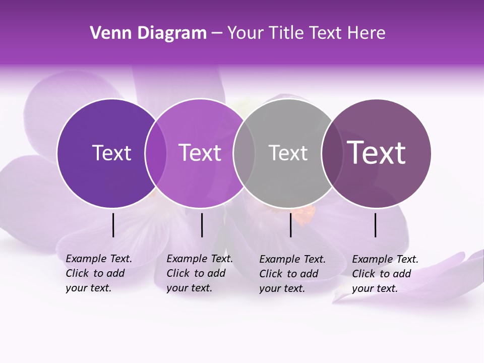 A Group Of Purple Flowers Sitting On Top Of A White Table PowerPoint Template