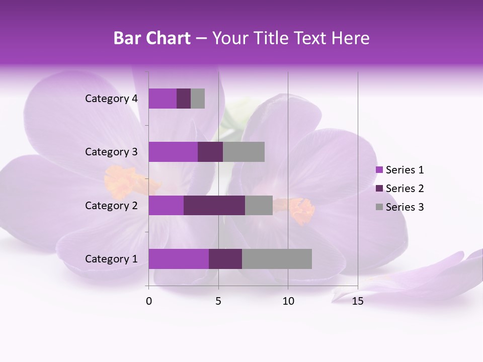A Group Of Purple Flowers Sitting On Top Of A White Table PowerPoint Template