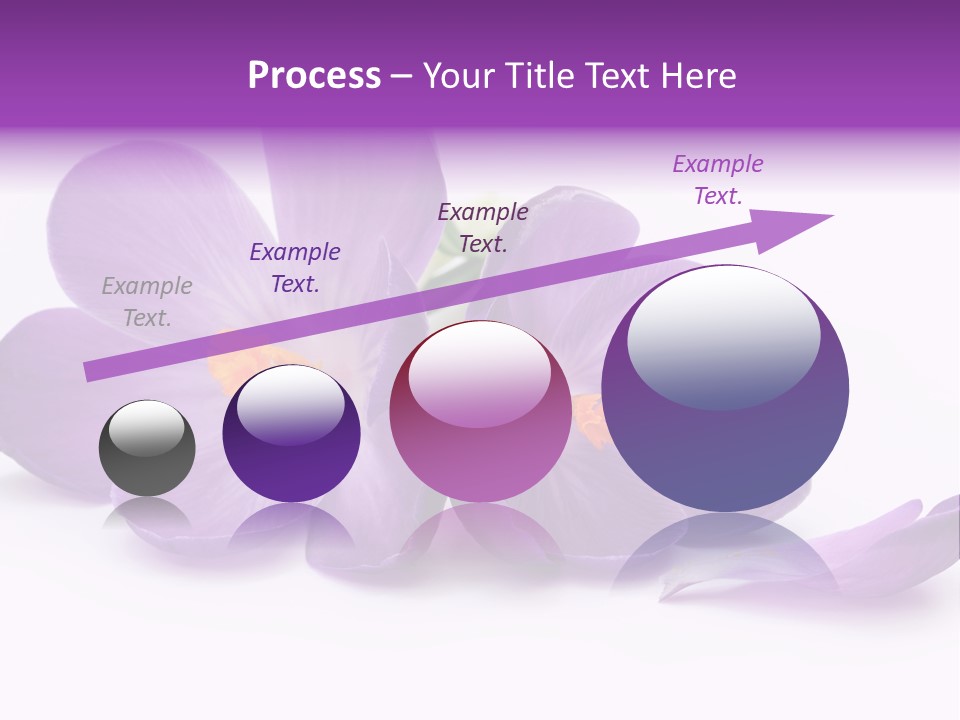 A Group Of Purple Flowers Sitting On Top Of A White Table PowerPoint Template