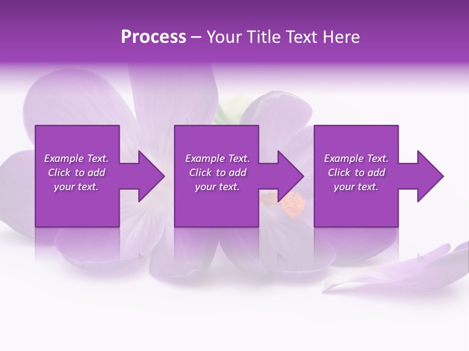 A Group Of Purple Flowers Sitting On Top Of A White Table PowerPoint Template