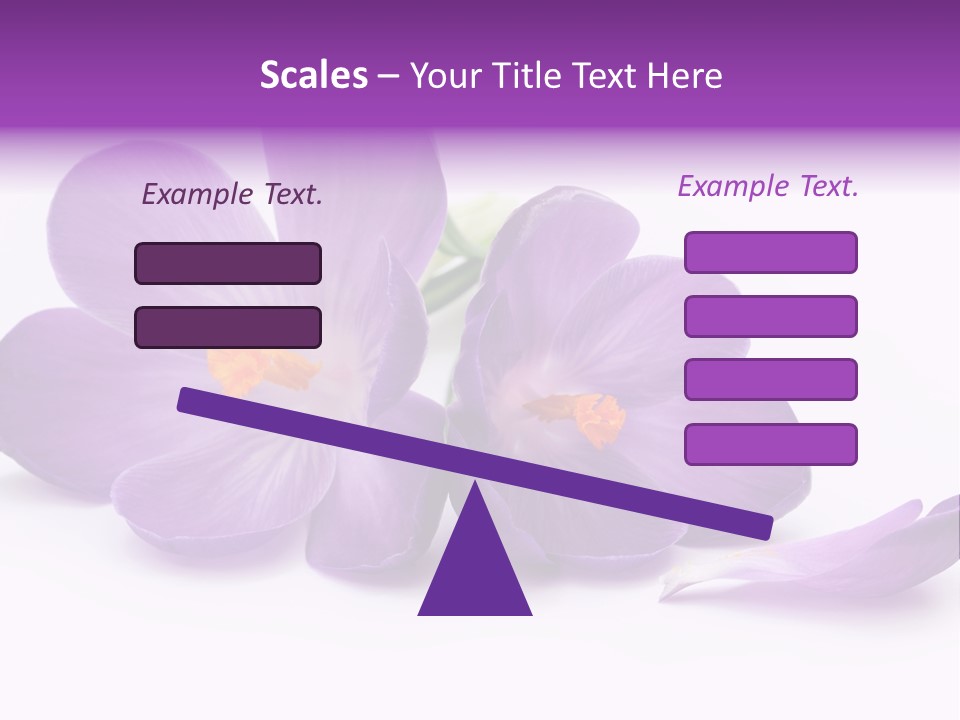 A Group Of Purple Flowers Sitting On Top Of A White Table PowerPoint Template