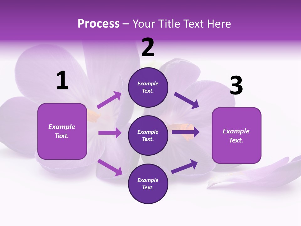 A Group Of Purple Flowers Sitting On Top Of A White Table PowerPoint Template