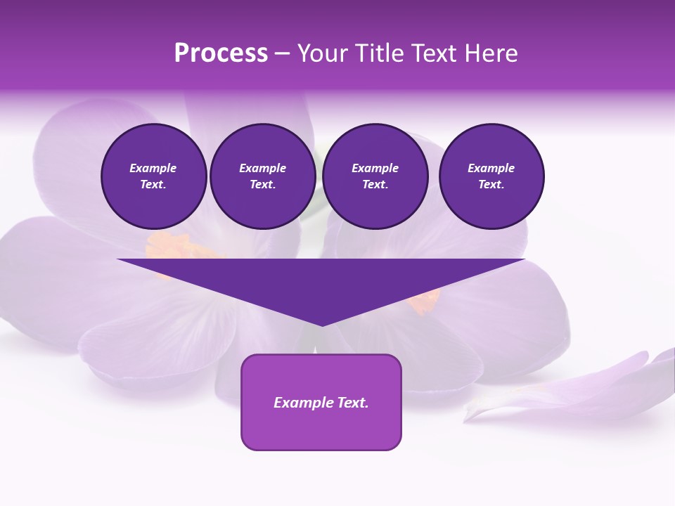 A Group Of Purple Flowers Sitting On Top Of A White Table PowerPoint Template