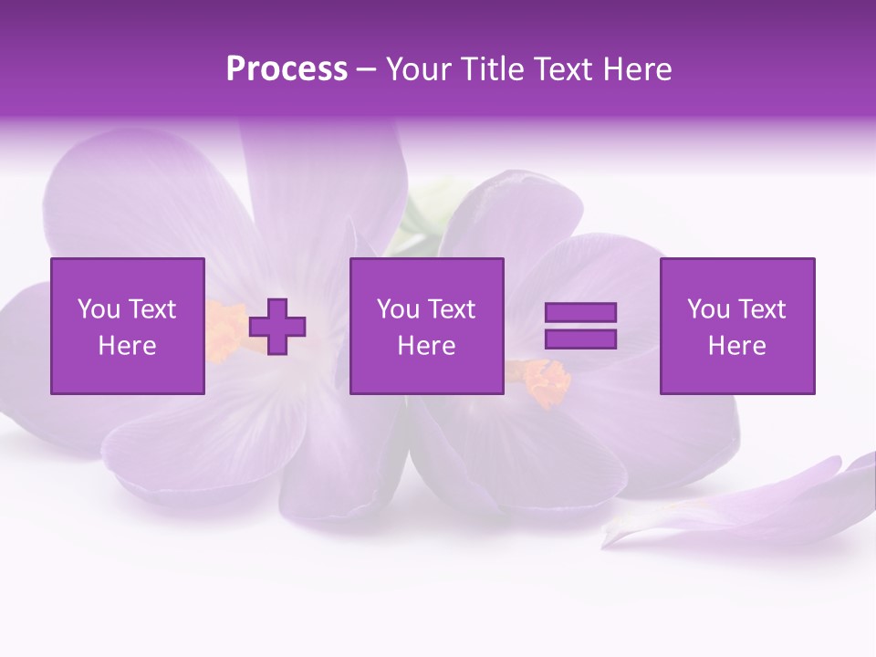 A Group Of Purple Flowers Sitting On Top Of A White Table PowerPoint Template