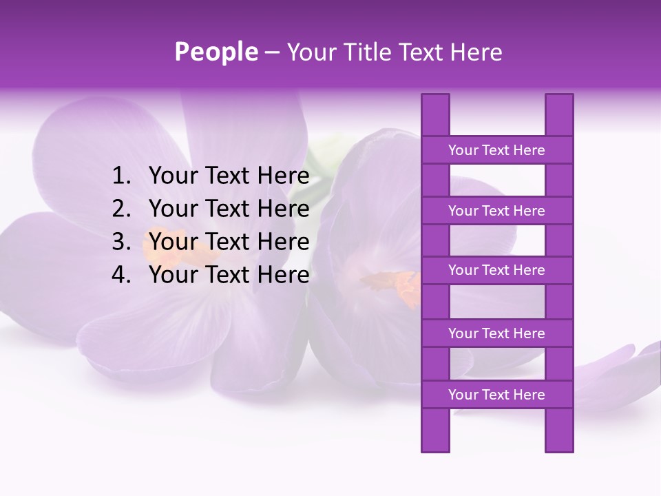 A Group Of Purple Flowers Sitting On Top Of A White Table PowerPoint Template