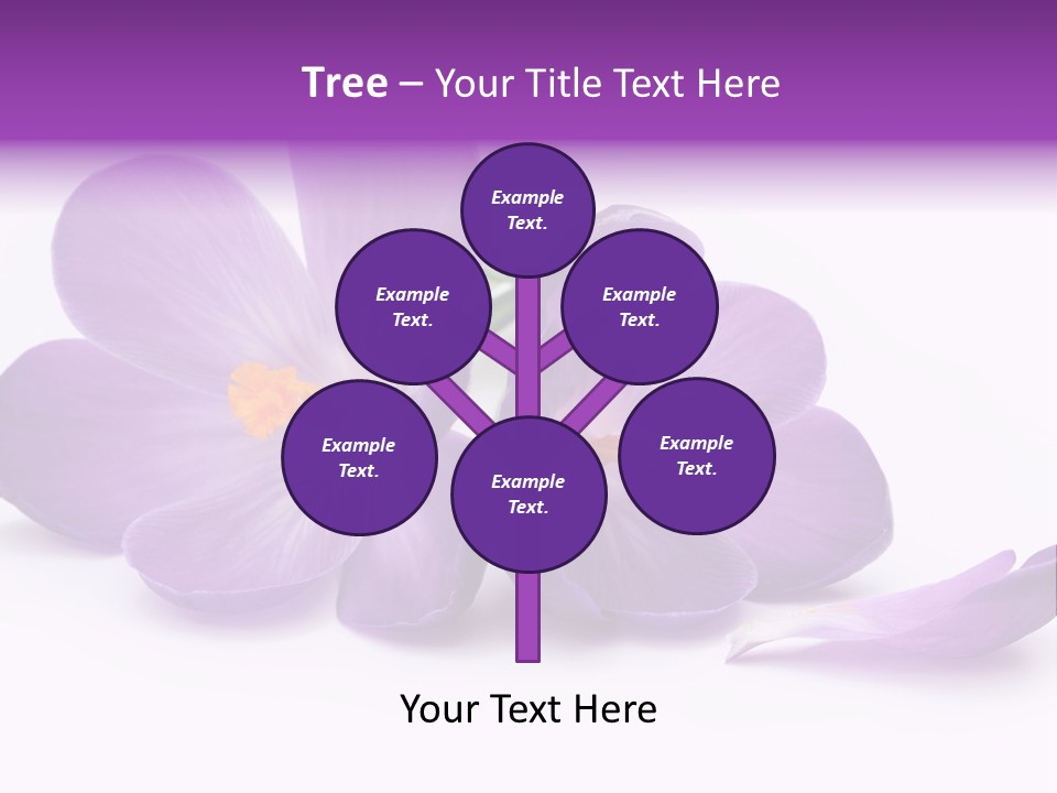A Group Of Purple Flowers Sitting On Top Of A White Table PowerPoint Template