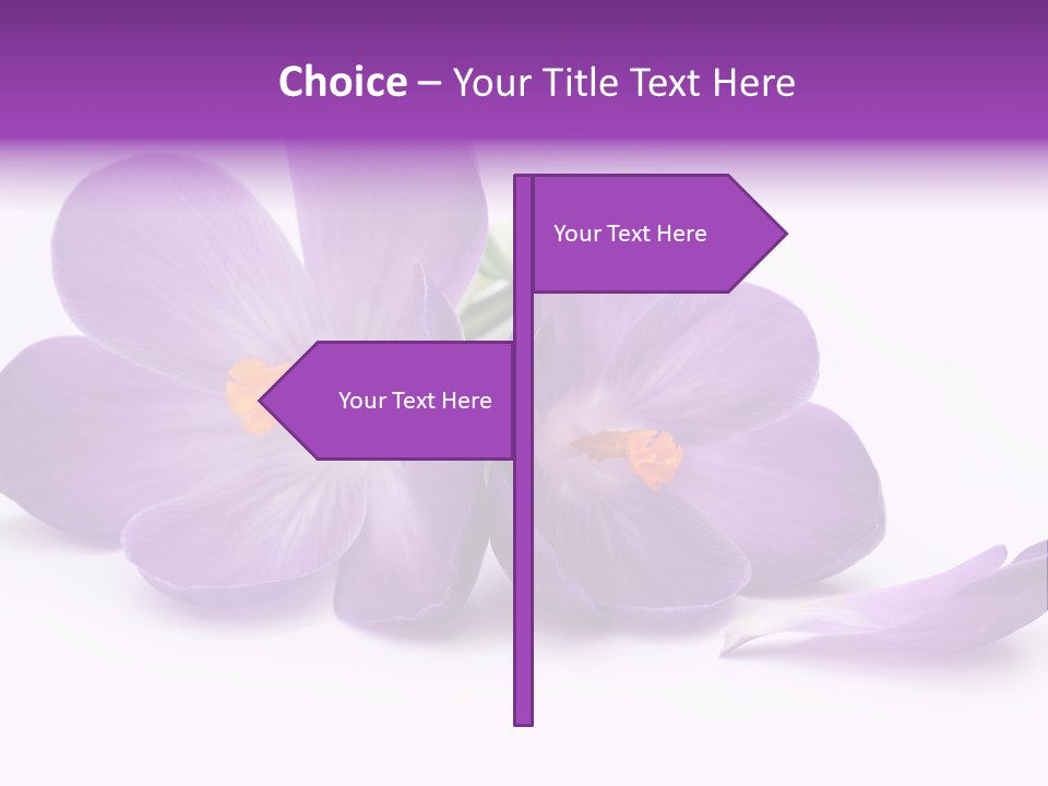 A Group Of Purple Flowers Sitting On Top Of A White Table PowerPoint Template