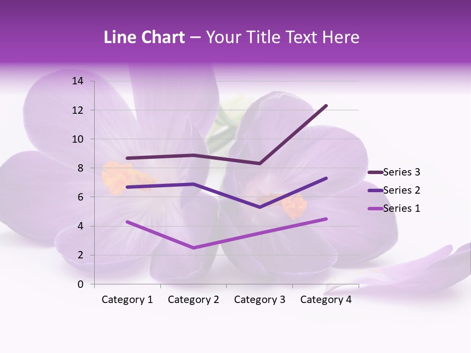 A Group Of Purple Flowers Sitting On Top Of A White Table PowerPoint Template