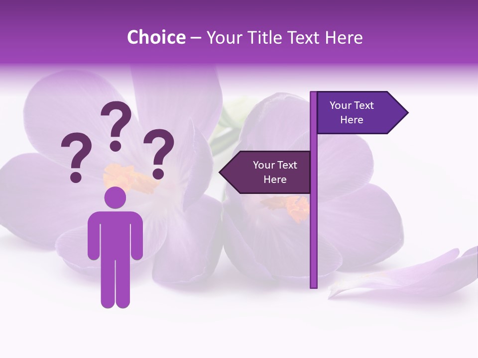 A Group Of Purple Flowers Sitting On Top Of A White Table PowerPoint Template