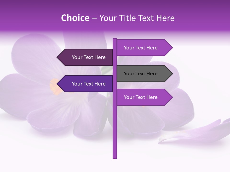A Group Of Purple Flowers Sitting On Top Of A White Table PowerPoint Template