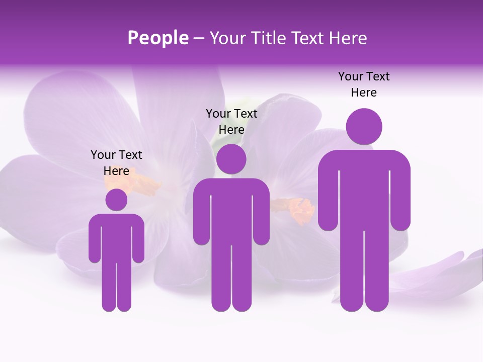 A Group Of Purple Flowers Sitting On Top Of A White Table PowerPoint Template