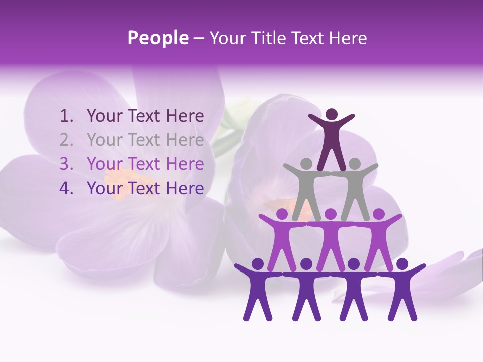 A Group Of Purple Flowers Sitting On Top Of A White Table PowerPoint Template