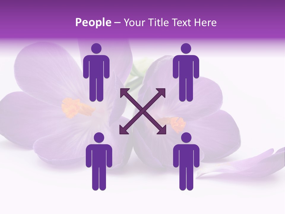 A Group Of Purple Flowers Sitting On Top Of A White Table PowerPoint Template