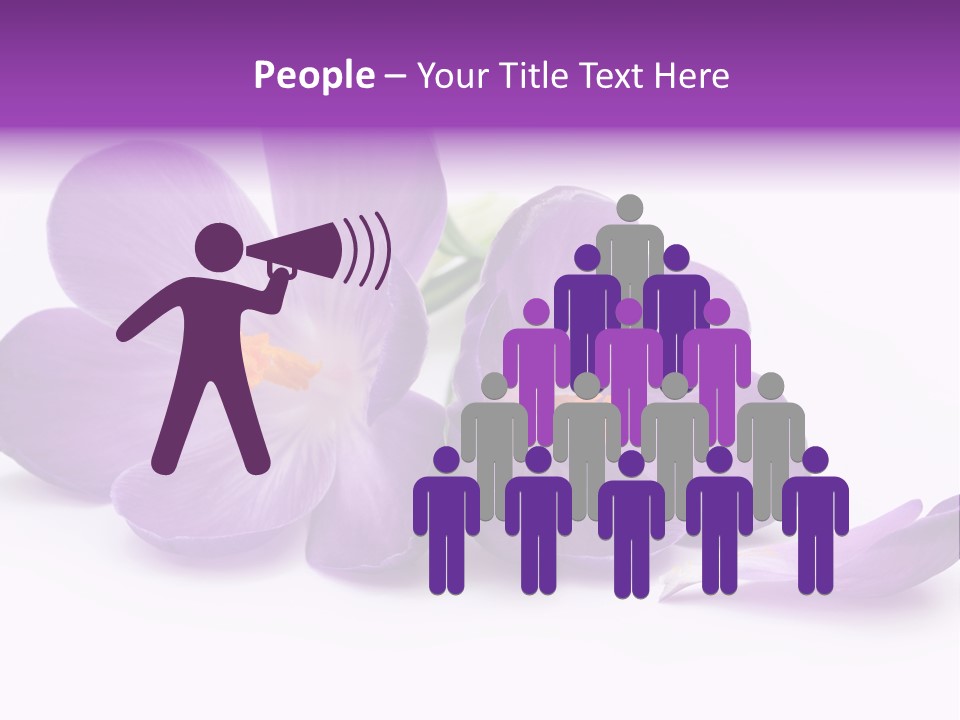 A Group Of Purple Flowers Sitting On Top Of A White Table PowerPoint Template