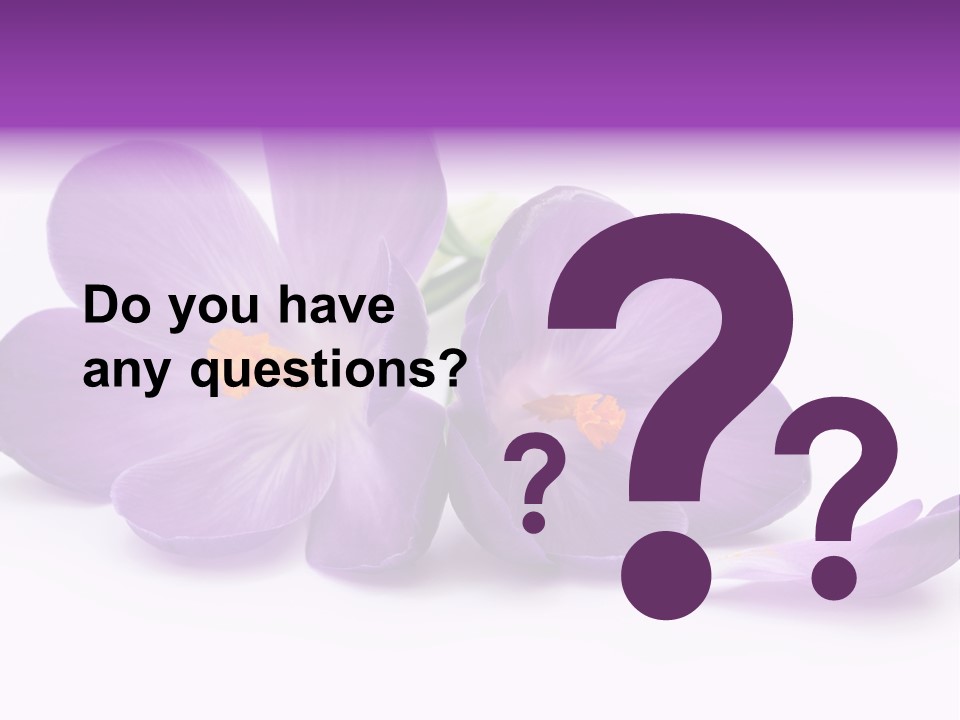 A Group Of Purple Flowers Sitting On Top Of A White Table PowerPoint Template