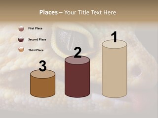 A Leopard Gecko Is Sticking His Tongue Out. PowerPoint Template