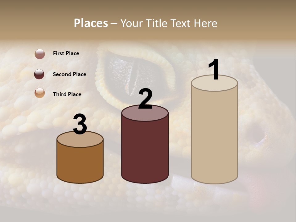 A Leopard Gecko Is Sticking His Tongue Out. PowerPoint Template