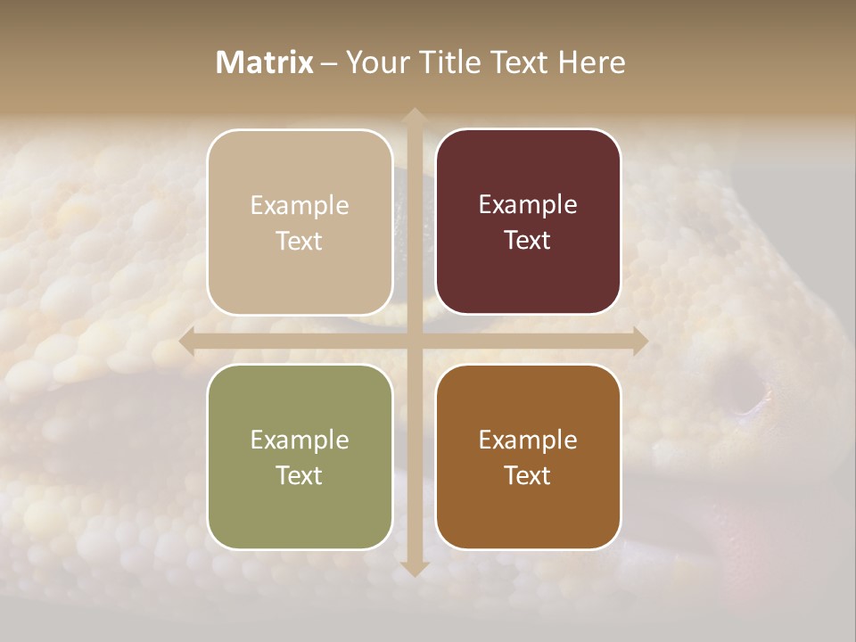 A Leopard Gecko Is Sticking His Tongue Out. PowerPoint Template