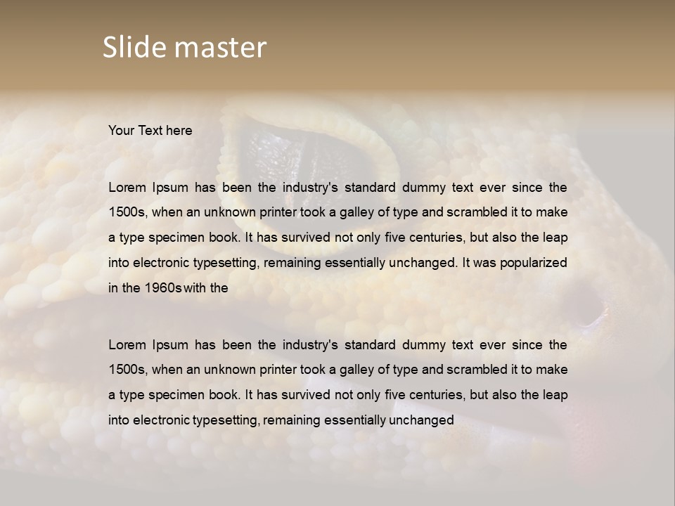 A Leopard Gecko Is Sticking His Tongue Out. PowerPoint Template