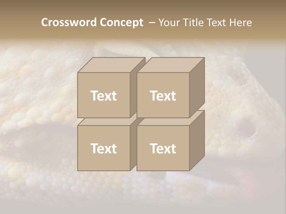 A Leopard Gecko Is Sticking His Tongue Out. PowerPoint Template