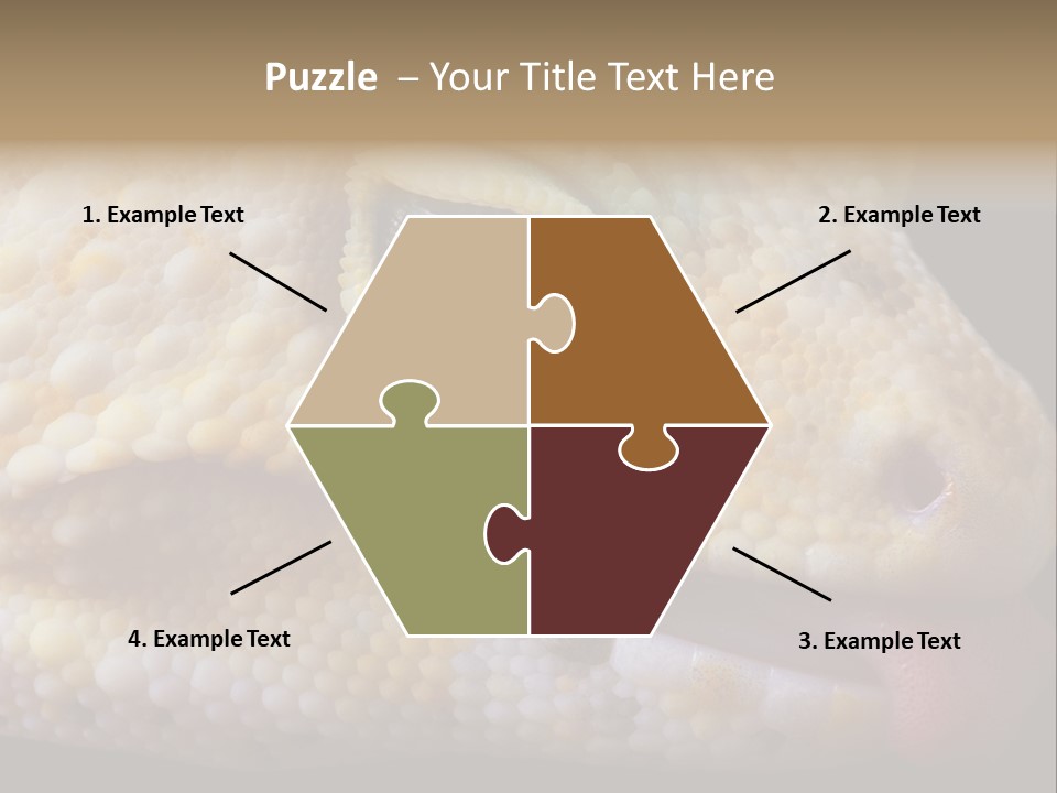 A Leopard Gecko Is Sticking His Tongue Out. PowerPoint Template