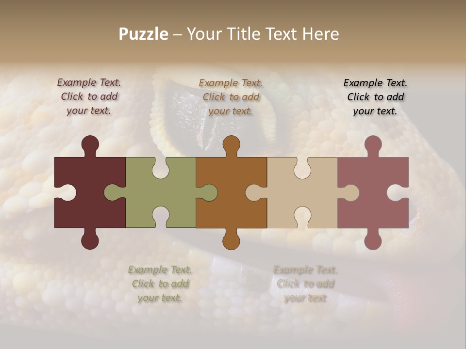 A Leopard Gecko Is Sticking His Tongue Out. PowerPoint Template