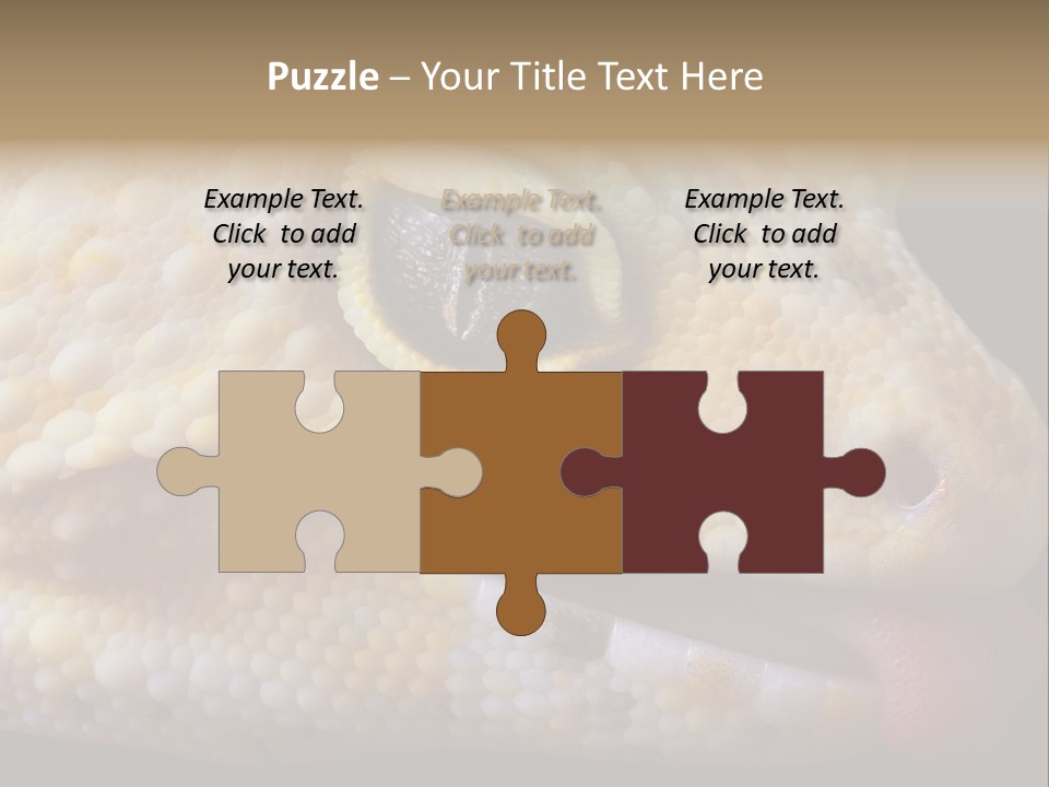 A Leopard Gecko Is Sticking His Tongue Out. PowerPoint Template