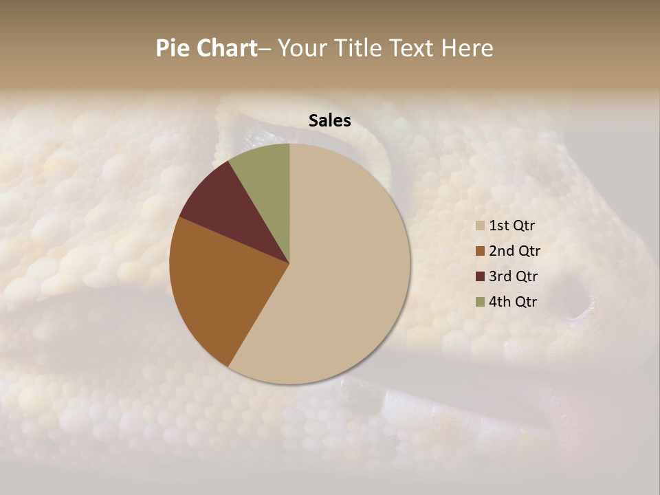 A Leopard Gecko Is Sticking His Tongue Out. PowerPoint Template