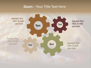 A Leopard Gecko Is Sticking His Tongue Out. PowerPoint Template