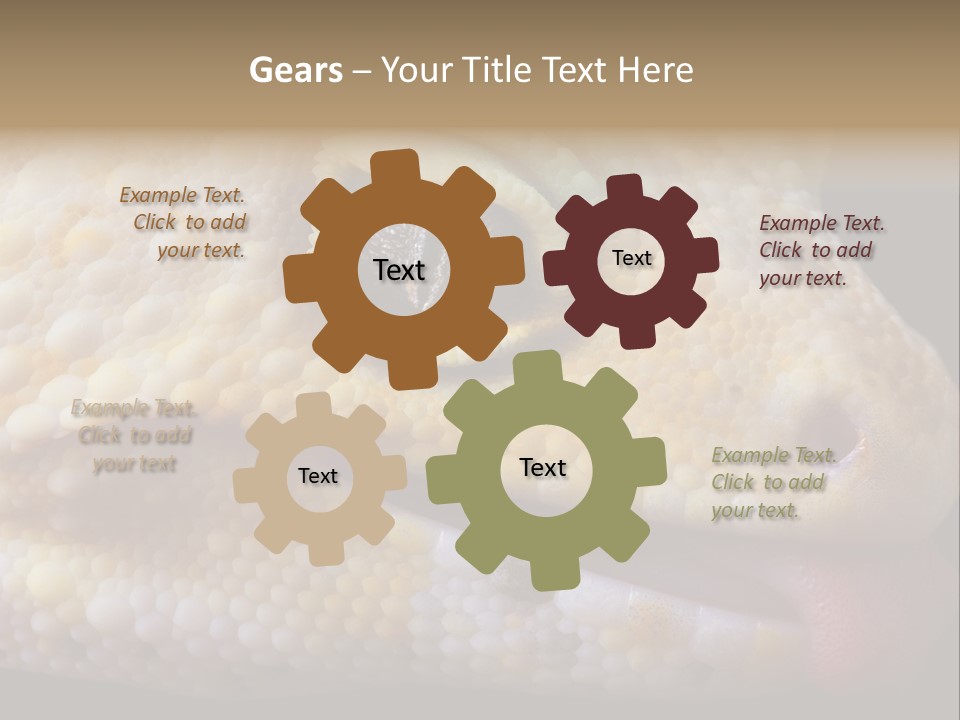 A Leopard Gecko Is Sticking His Tongue Out. PowerPoint Template