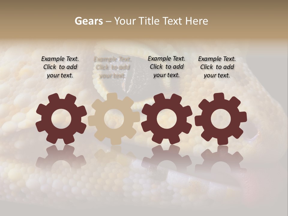 A Leopard Gecko Is Sticking His Tongue Out. PowerPoint Template