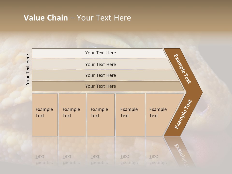 A Leopard Gecko Is Sticking His Tongue Out. PowerPoint Template