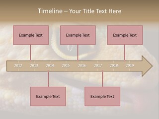 A Leopard Gecko Is Sticking His Tongue Out. PowerPoint Template