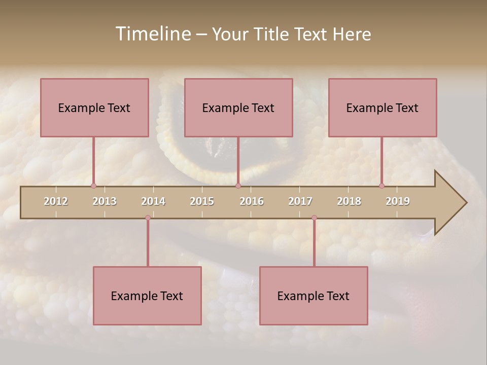 A Leopard Gecko Is Sticking His Tongue Out. PowerPoint Template