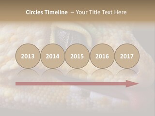 A Leopard Gecko Is Sticking His Tongue Out. PowerPoint Template