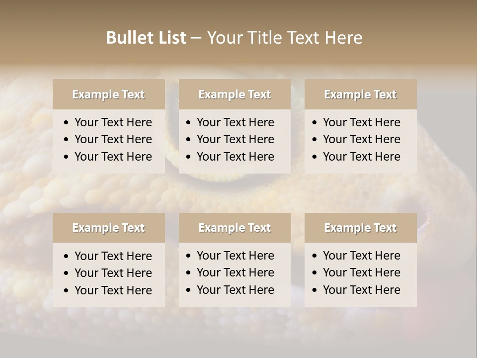 A Leopard Gecko Is Sticking His Tongue Out. PowerPoint Template