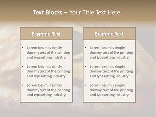 A Leopard Gecko Is Sticking His Tongue Out. PowerPoint Template
