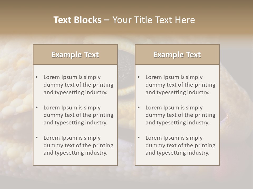 A Leopard Gecko Is Sticking His Tongue Out. PowerPoint Template