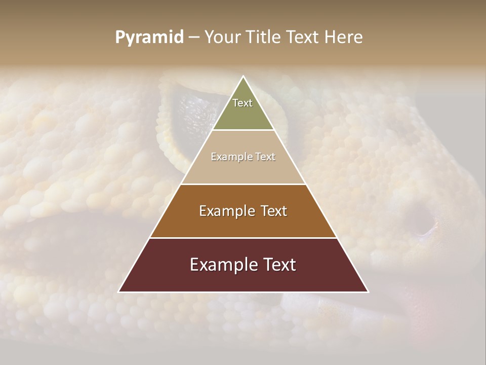 A Leopard Gecko Is Sticking His Tongue Out. PowerPoint Template