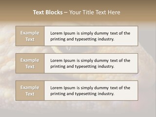 A Leopard Gecko Is Sticking His Tongue Out. PowerPoint Template