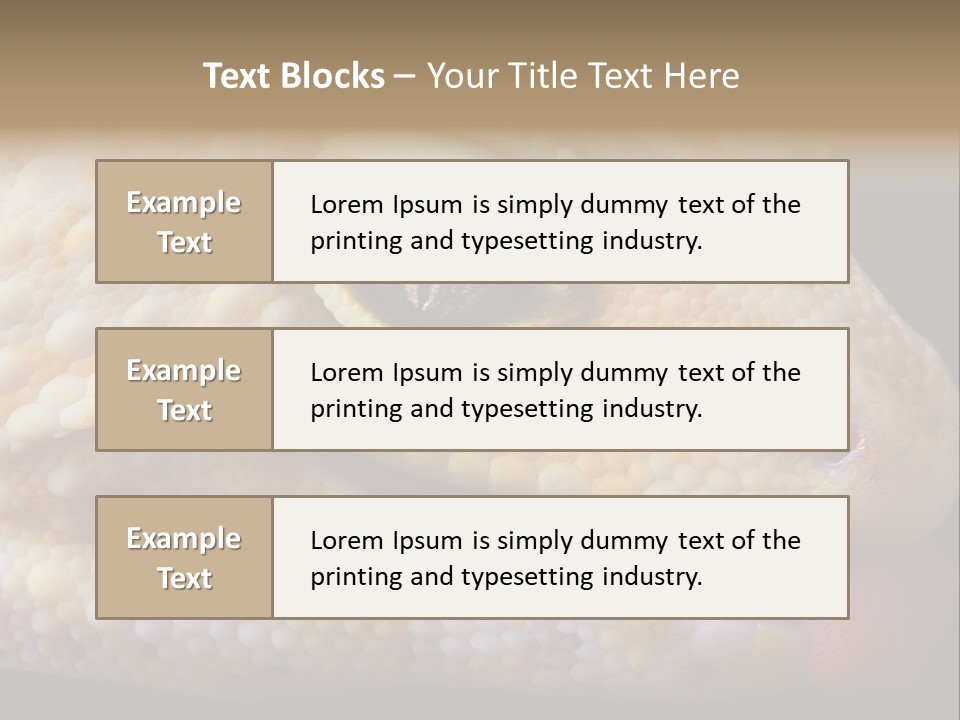 A Leopard Gecko Is Sticking His Tongue Out. PowerPoint Template