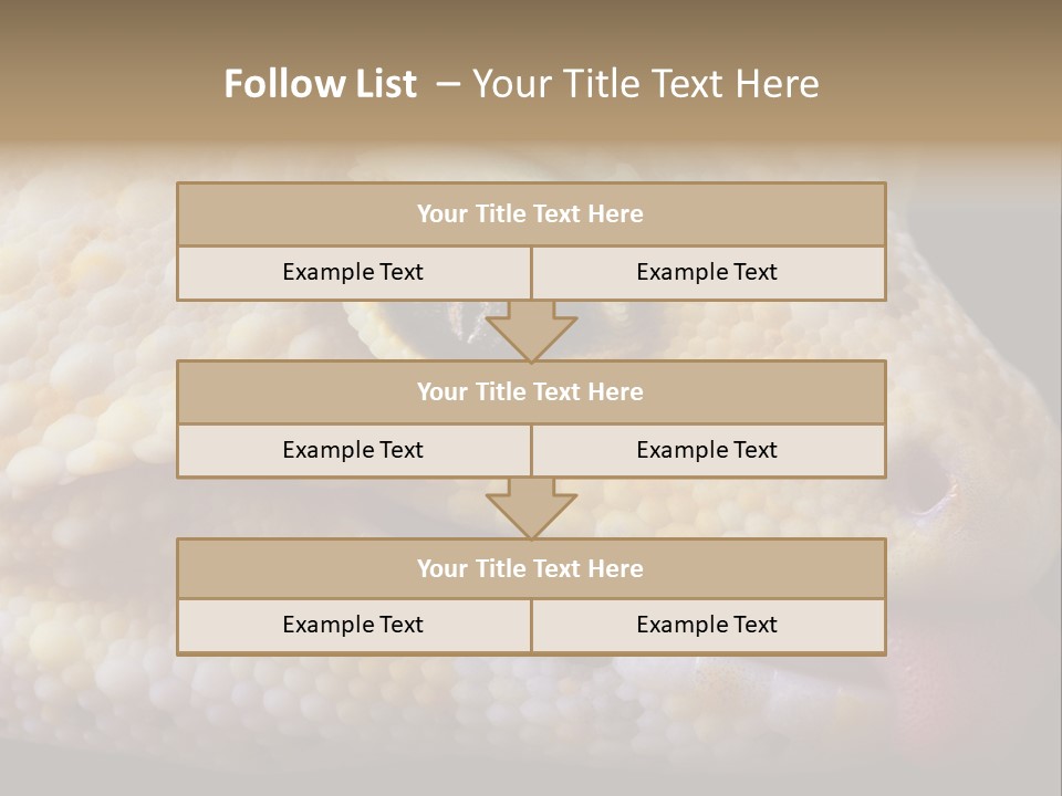 A Leopard Gecko Is Sticking His Tongue Out. PowerPoint Template
