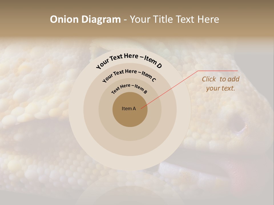 A Leopard Gecko Is Sticking His Tongue Out. PowerPoint Template