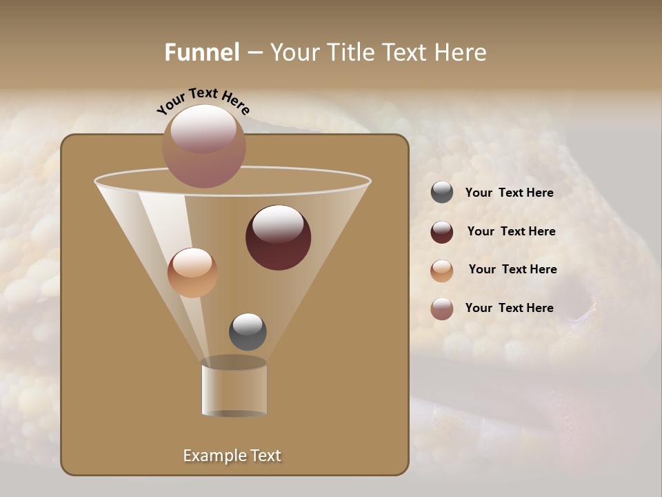 A Leopard Gecko Is Sticking His Tongue Out. PowerPoint Template