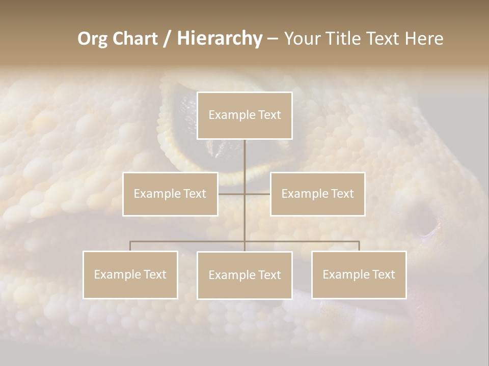 A Leopard Gecko Is Sticking His Tongue Out. PowerPoint Template