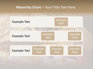 A Leopard Gecko Is Sticking His Tongue Out. PowerPoint Template