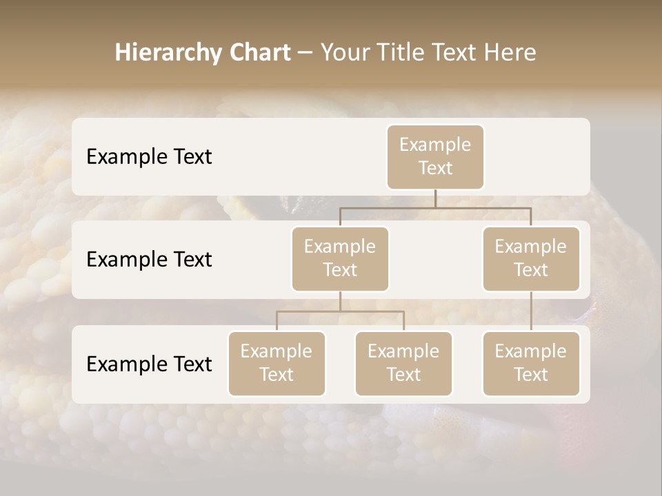 A Leopard Gecko Is Sticking His Tongue Out. PowerPoint Template